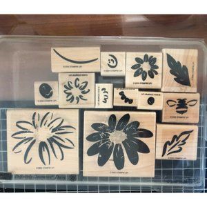 Stampin' Up! Definitely Decorative Daisy